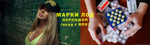 твердый Новокубанск