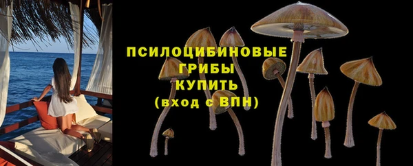 трава Новодвинск