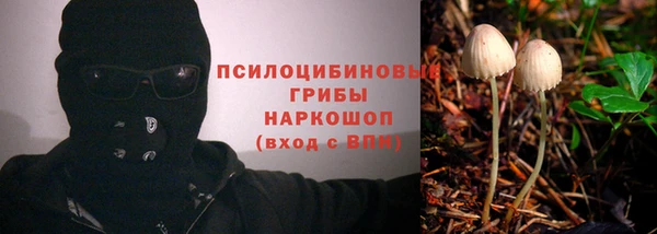 твердый Новозыбков
