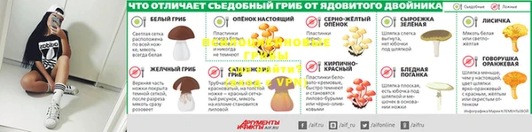твердый Новозыбков