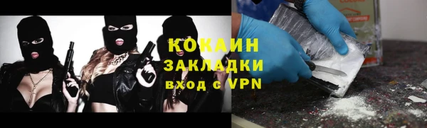трава Новодвинск