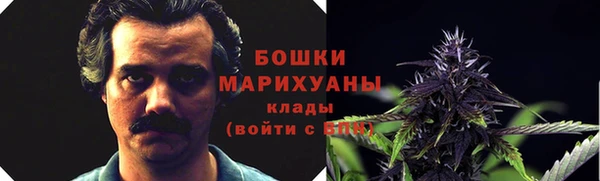 трава Новодвинск