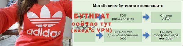 твердый Новозыбков
