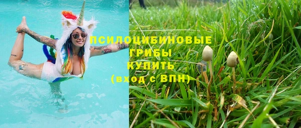 твердый Новокубанск