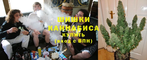 твердый Новозыбков
