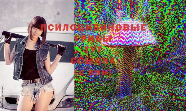 трава Новодвинск
