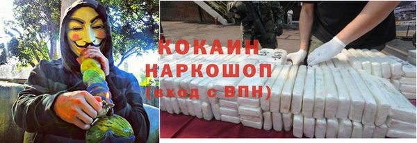 твердый Новокубанск