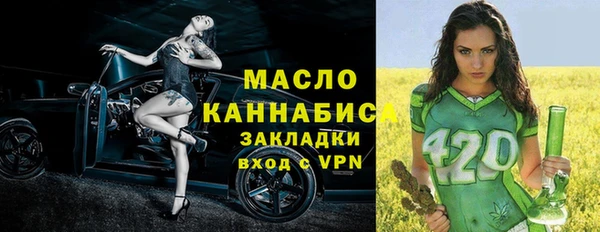 твердый Новозыбков