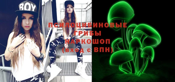 твердый Новозыбков