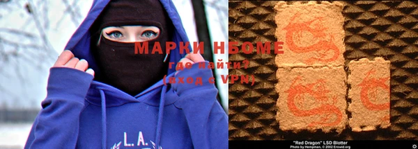твердый Новозыбков