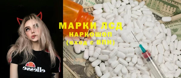твердый Новозыбков