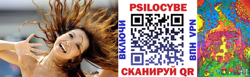 hydra ссылки  Сертолово  Псилоцибиновые грибы GOLDEN TEACHER 